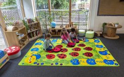 Back to Nature Sensory Ladybird Cushions